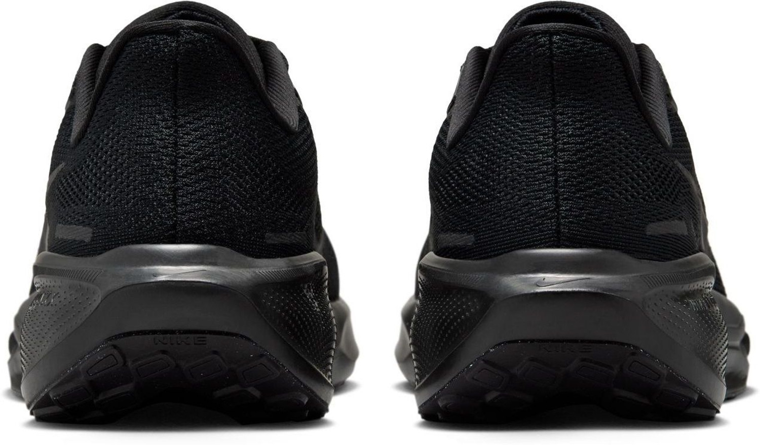 nike pegasus flipkart