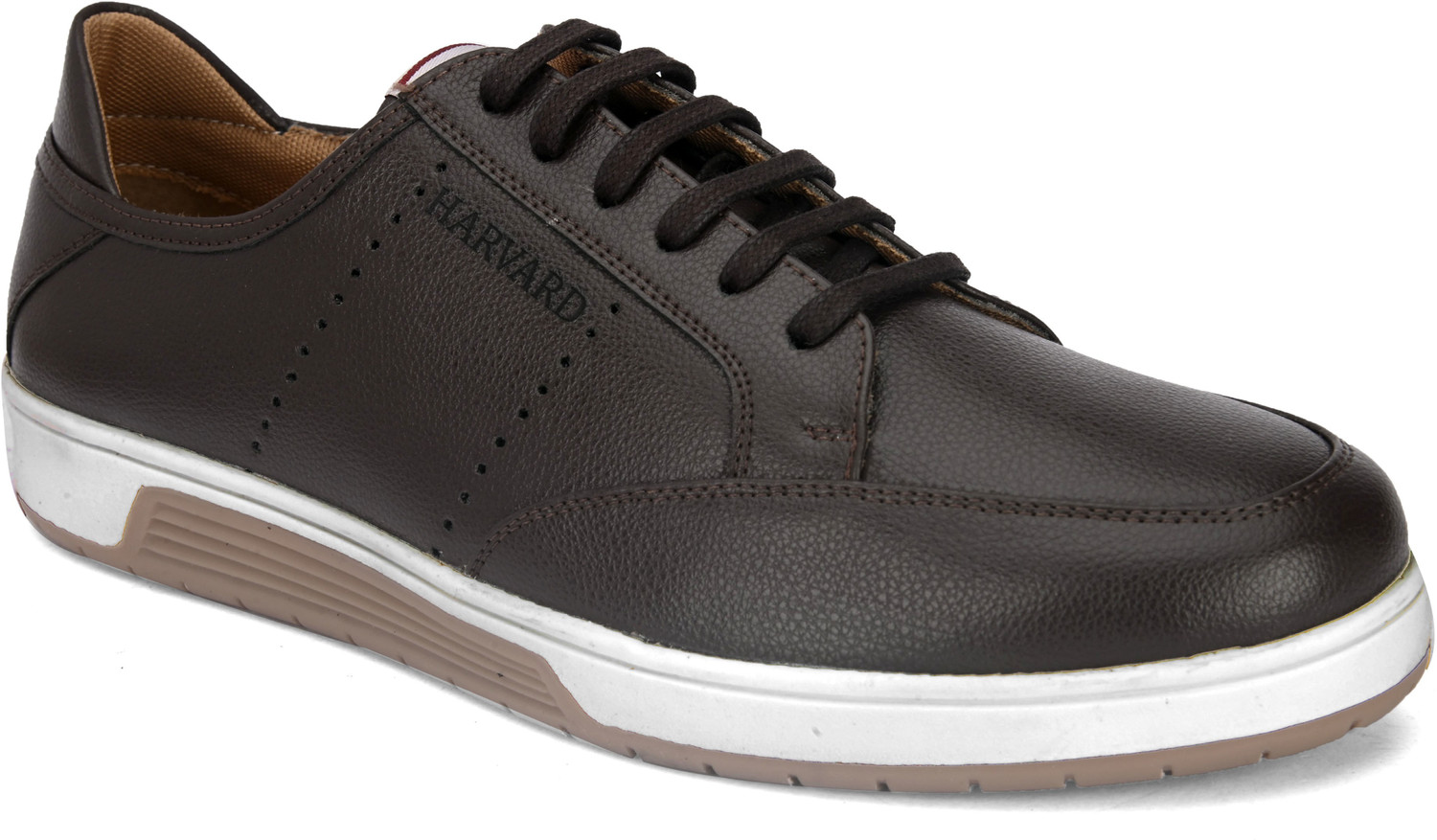 Image of HARVARD Sneakers For Men