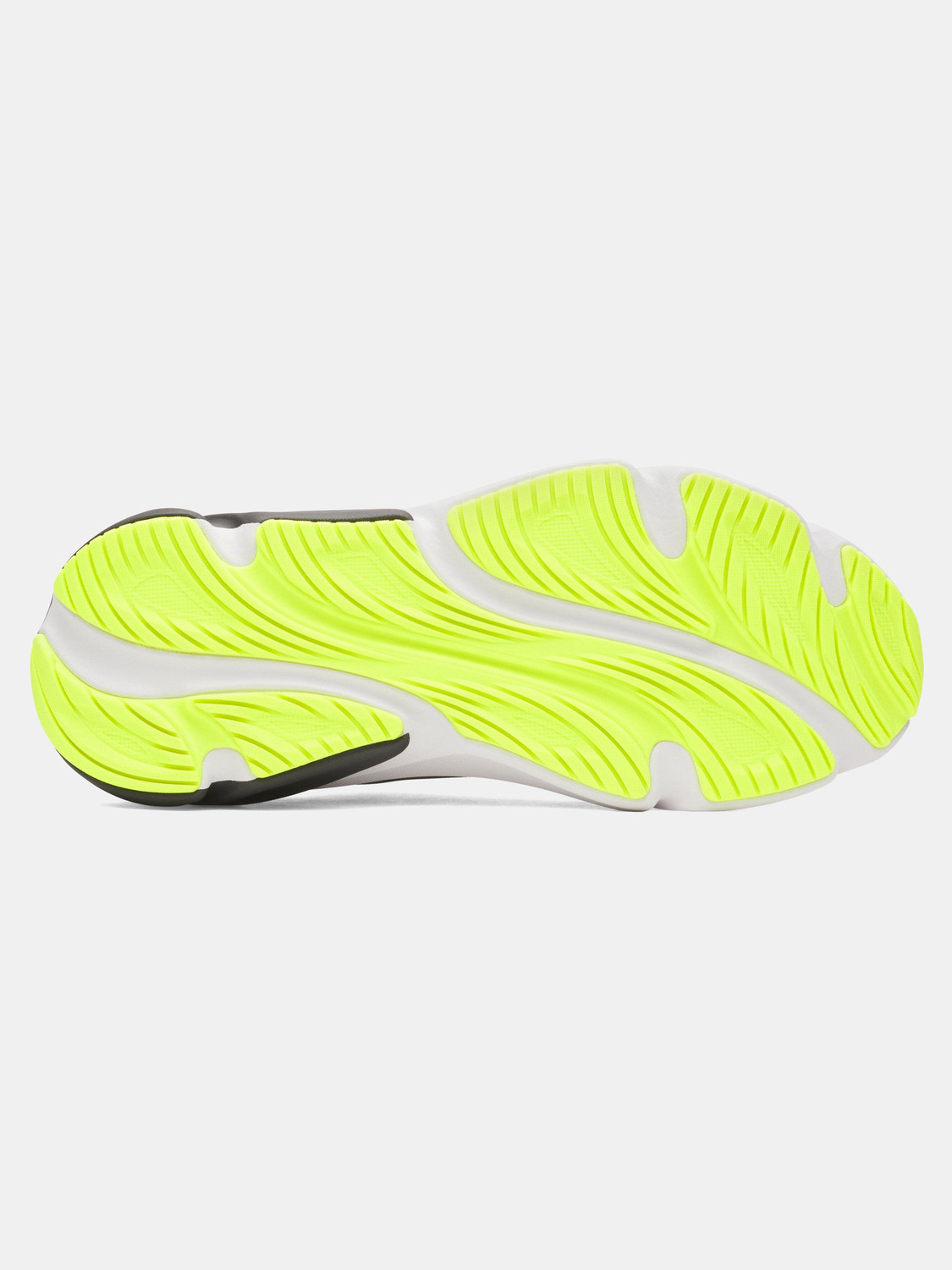 Image of UNDER ARMOUR Rogue 6 Running Shoes For Men