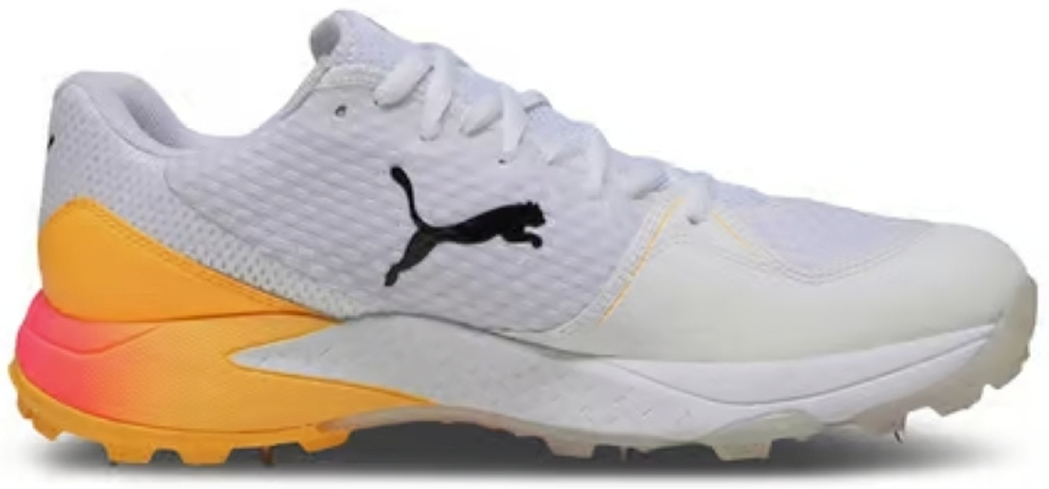 Image of PUMA Spike 24.1 Cricket Shoes For Unisex