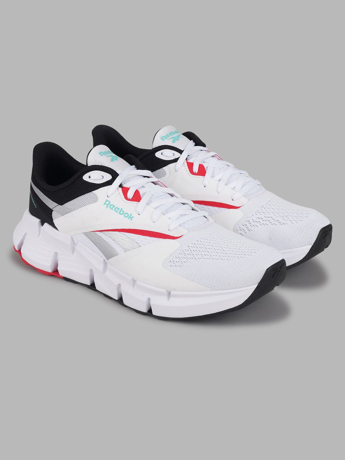 Image of REEBOK ZIG DYNAMICA 5 Running Shoes For Men