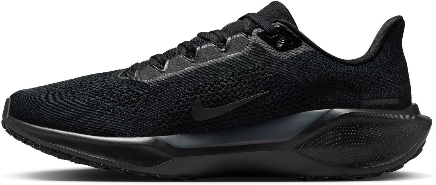 nike pegasus flipkart