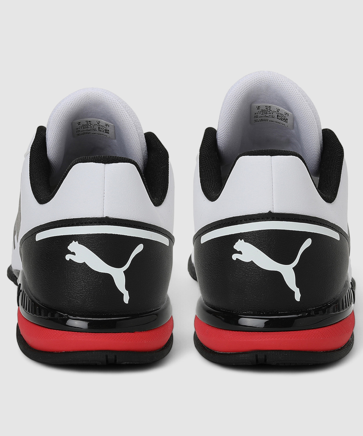 Image of PUMA Equate SL Running Shoes For Men