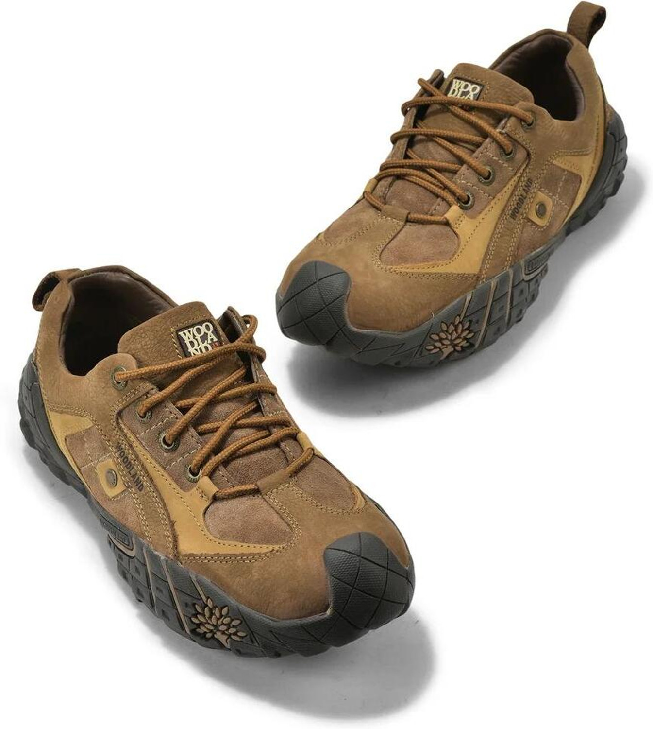 Image of WOODLAND For Men