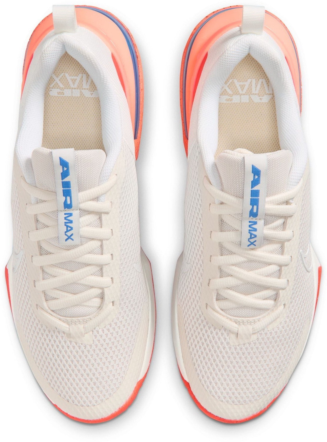 Image of NIKE AIR MAX ALPHA TRAINER 6 Training & Gym Shoes For Men