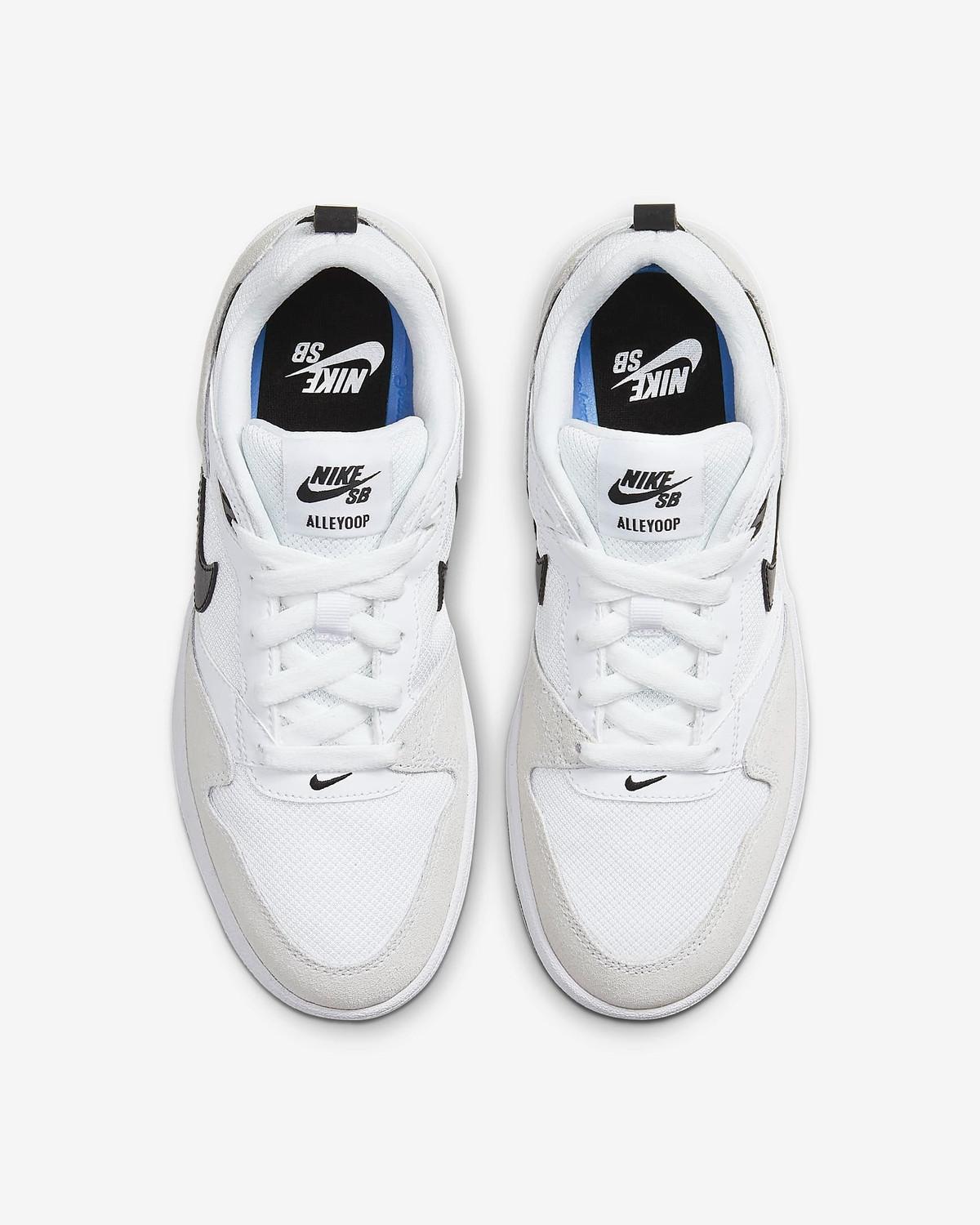 womens nike sb alleyoop