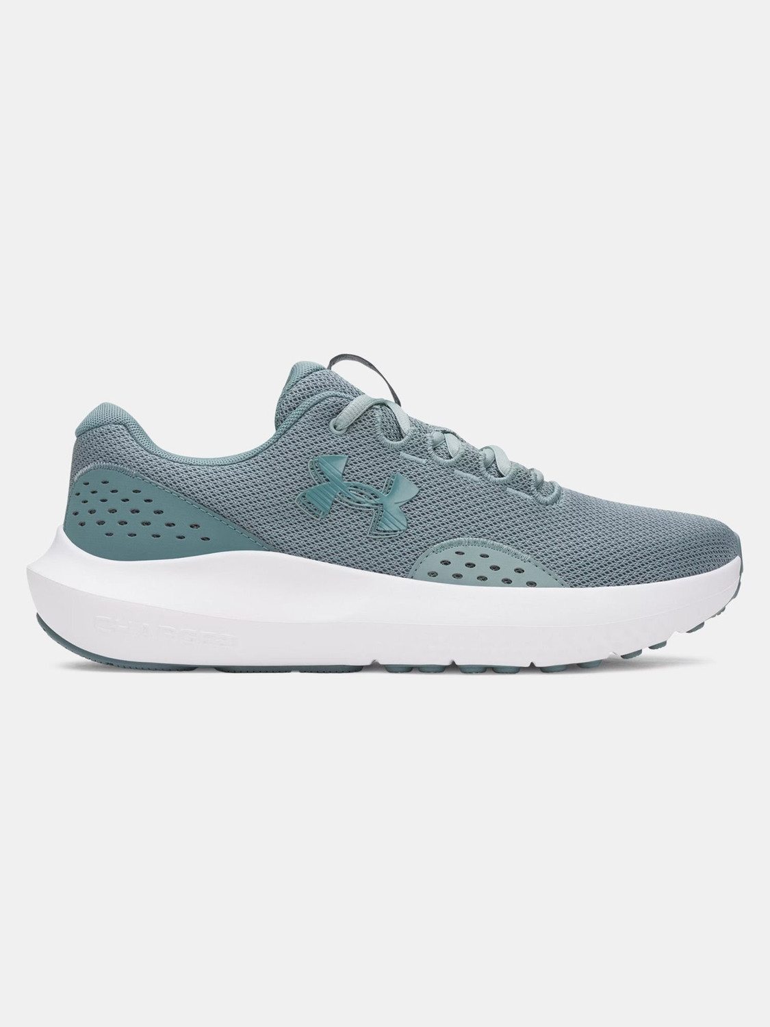 Image of UNDER ARMOUR Charged Surge 4 Running Shoes For Men