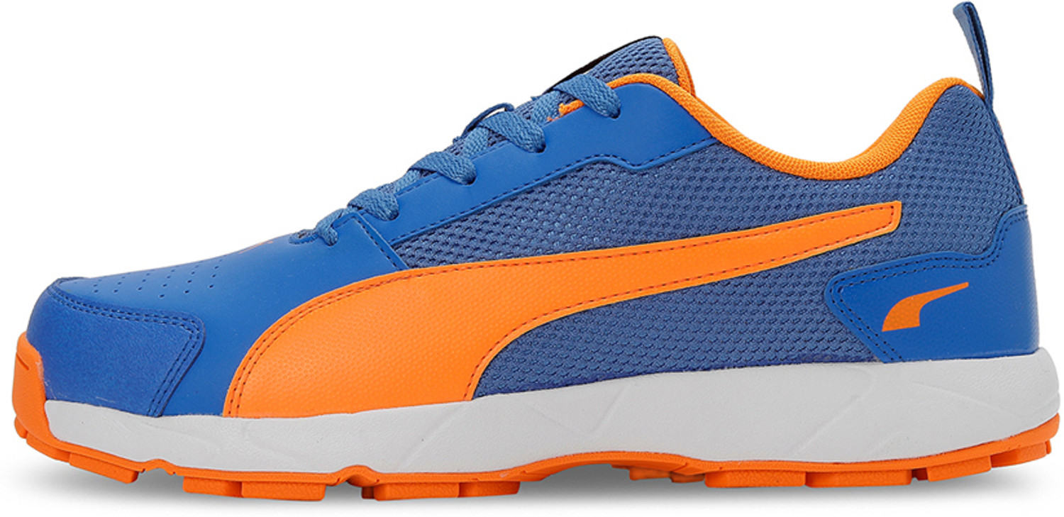 Image of PUMA Cricket HighRun Cricket Shoes For Men