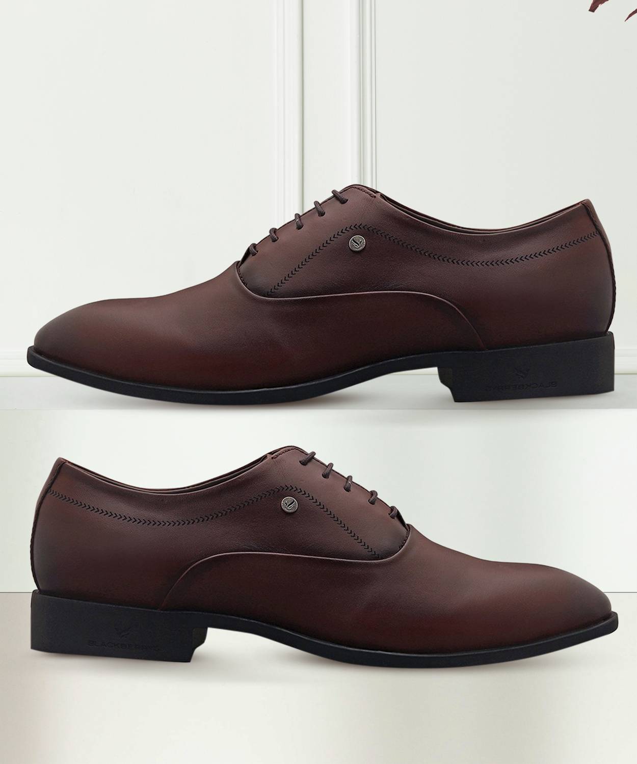 Blackberrys Lebum Oxford Shoes In Burgandy Oxford For Men
