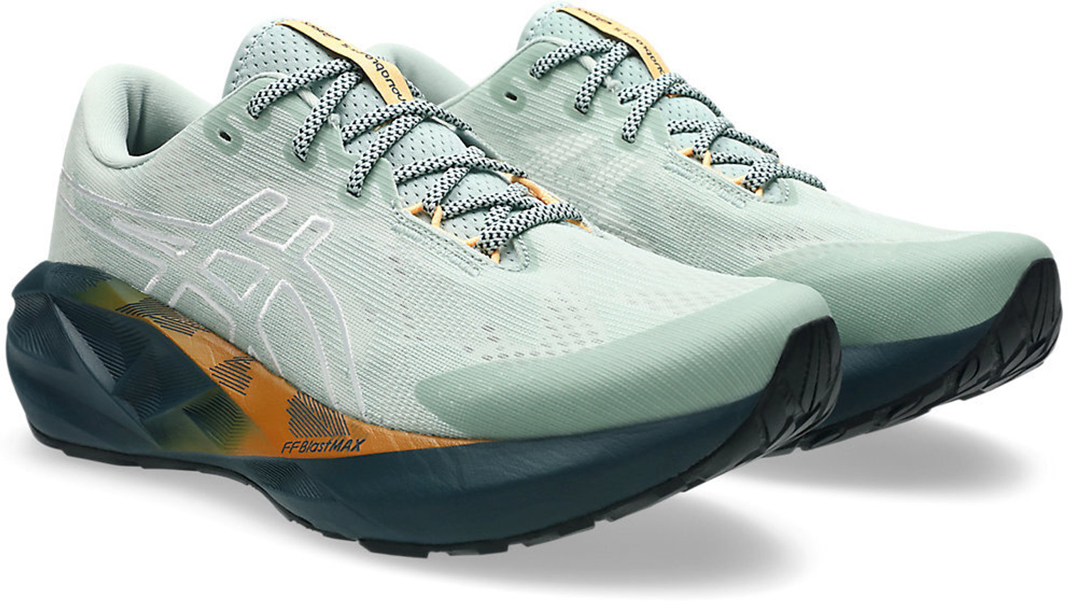 Image of Asics NOVABLAST 5 TR Running Shoes For Men
