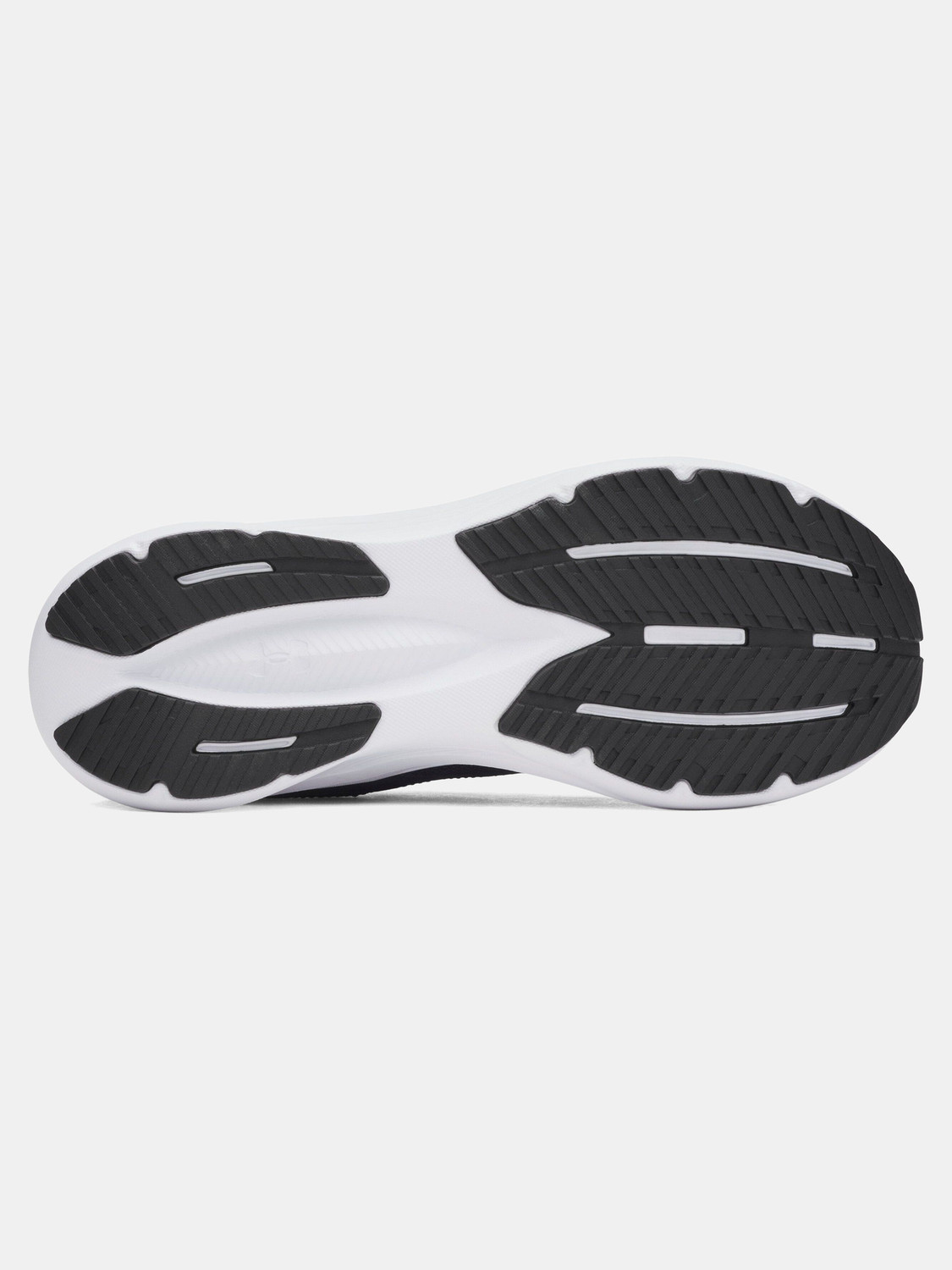 Image of UNDER ARMOUR Assert 11 Running Shoes For Men