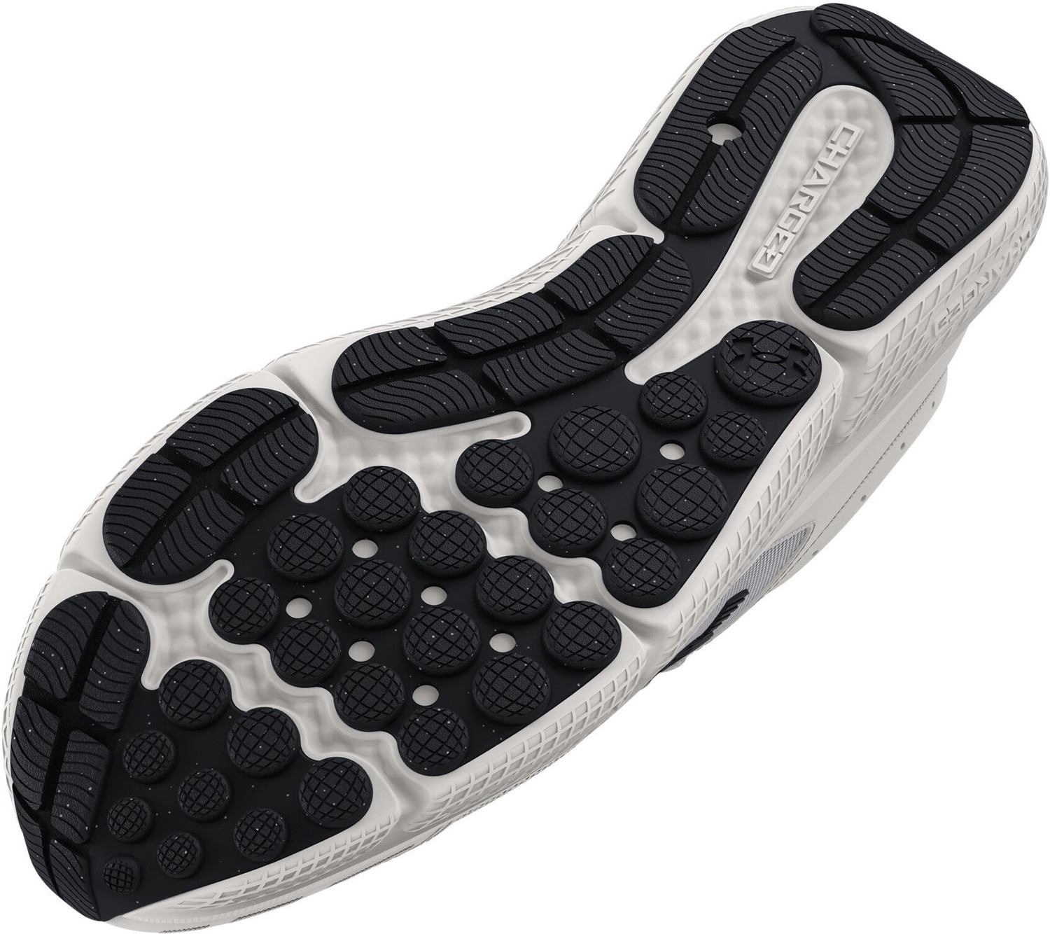 Image of UNDER ARMOUR UA CHARGED ASSERT 10 Running Shoes For Men