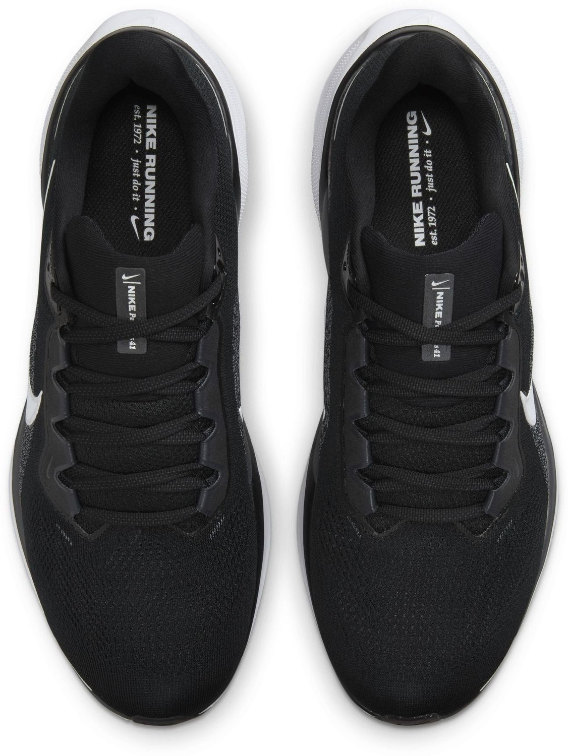 nike pegasus flipkart