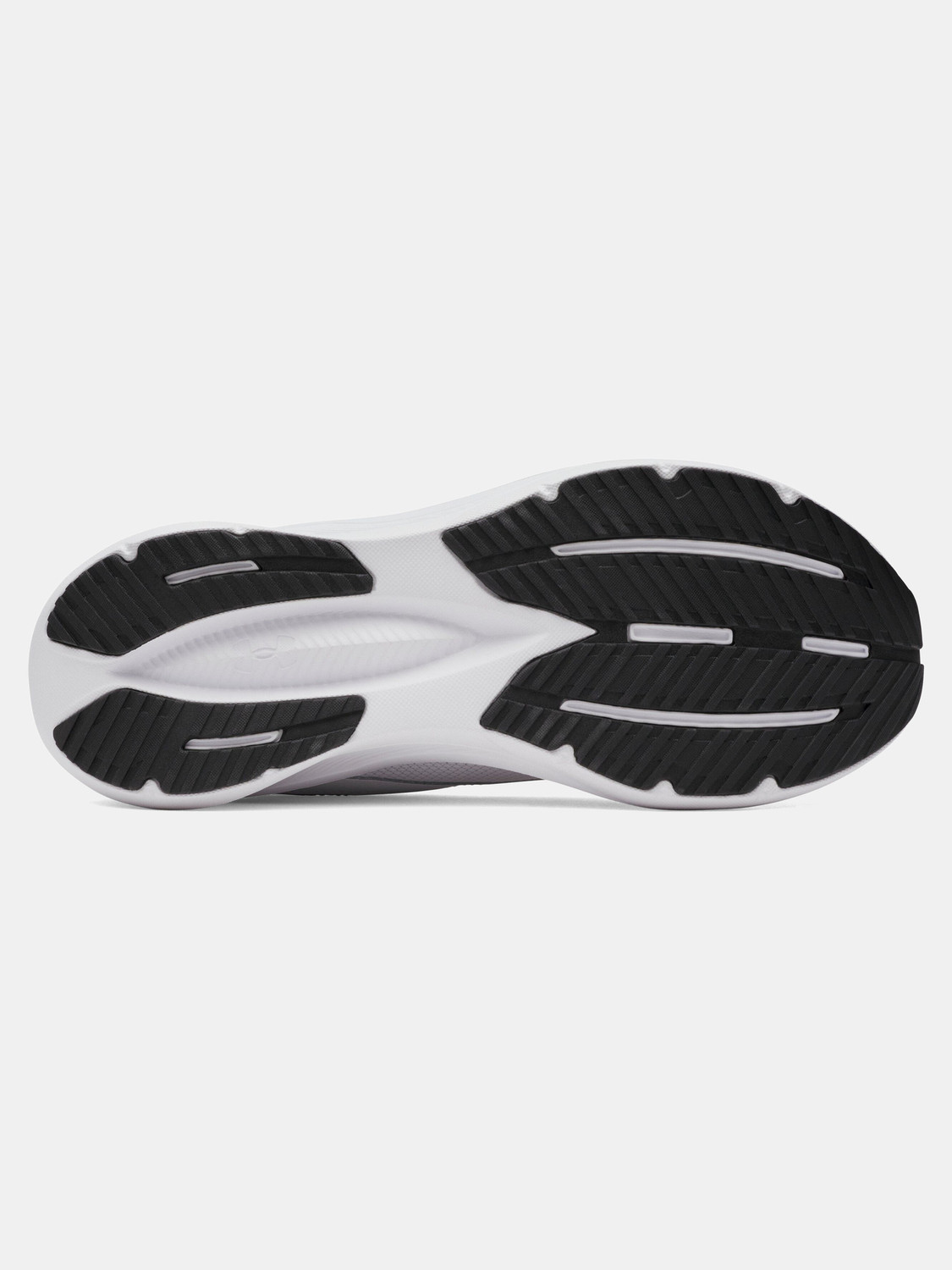 Image of UNDER ARMOUR Assert 11 Running Shoes For Men