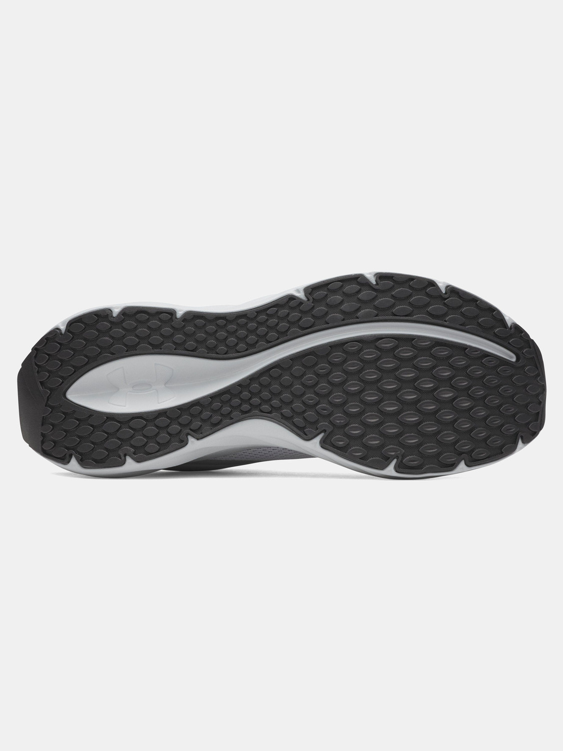 Image of UNDER ARMOUR Ascend Running Shoes For Men