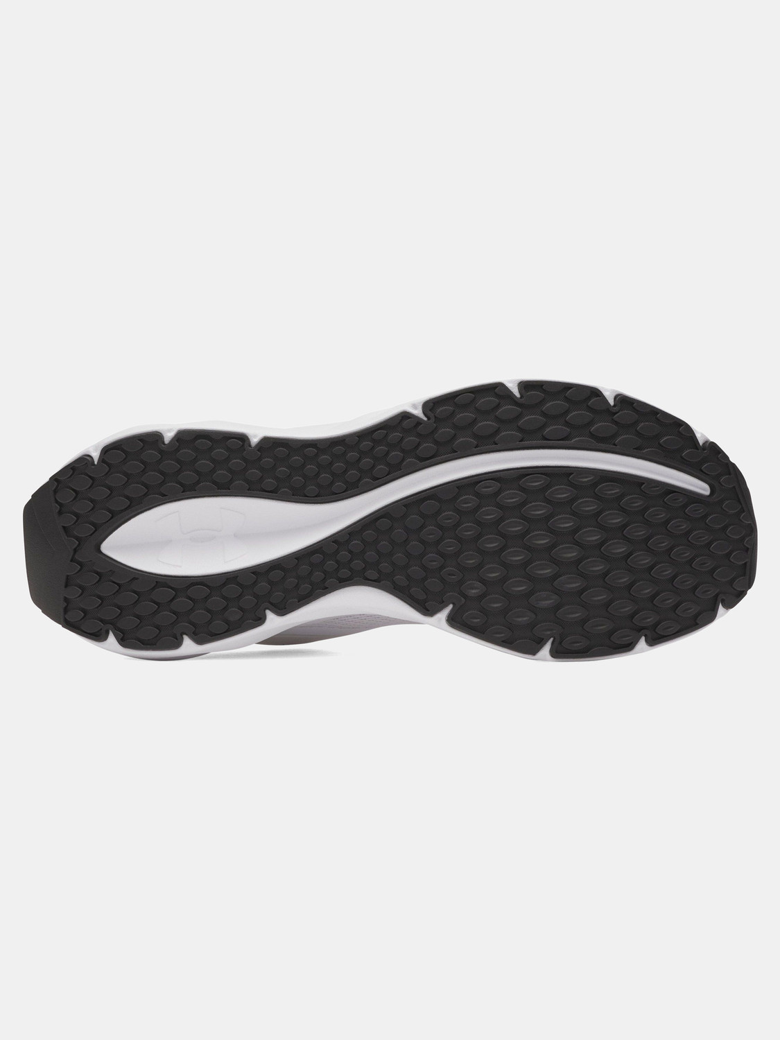 Image of UNDER ARMOUR Ascend Running Shoes For Men