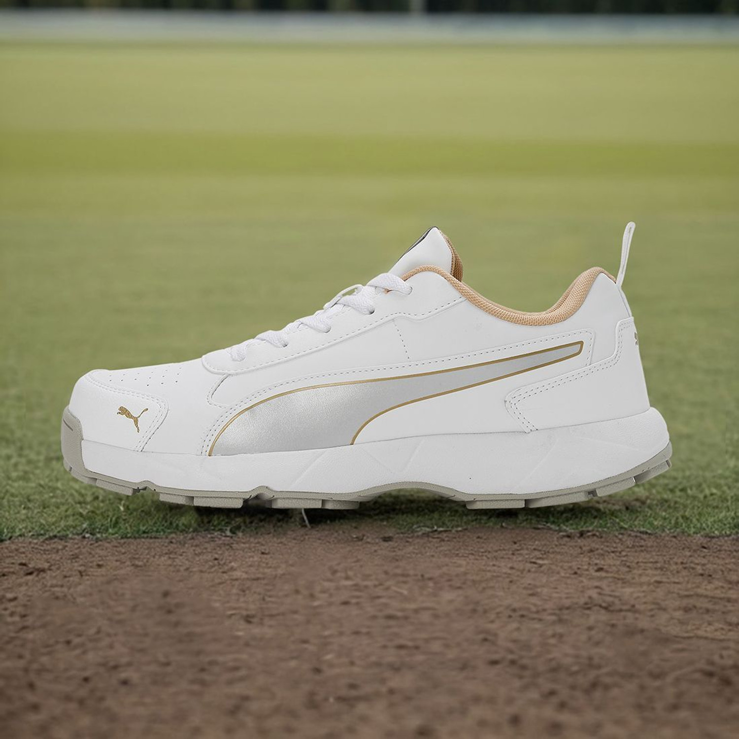 Image of PUMA Cricket Classicat Cricket Shoes For Men