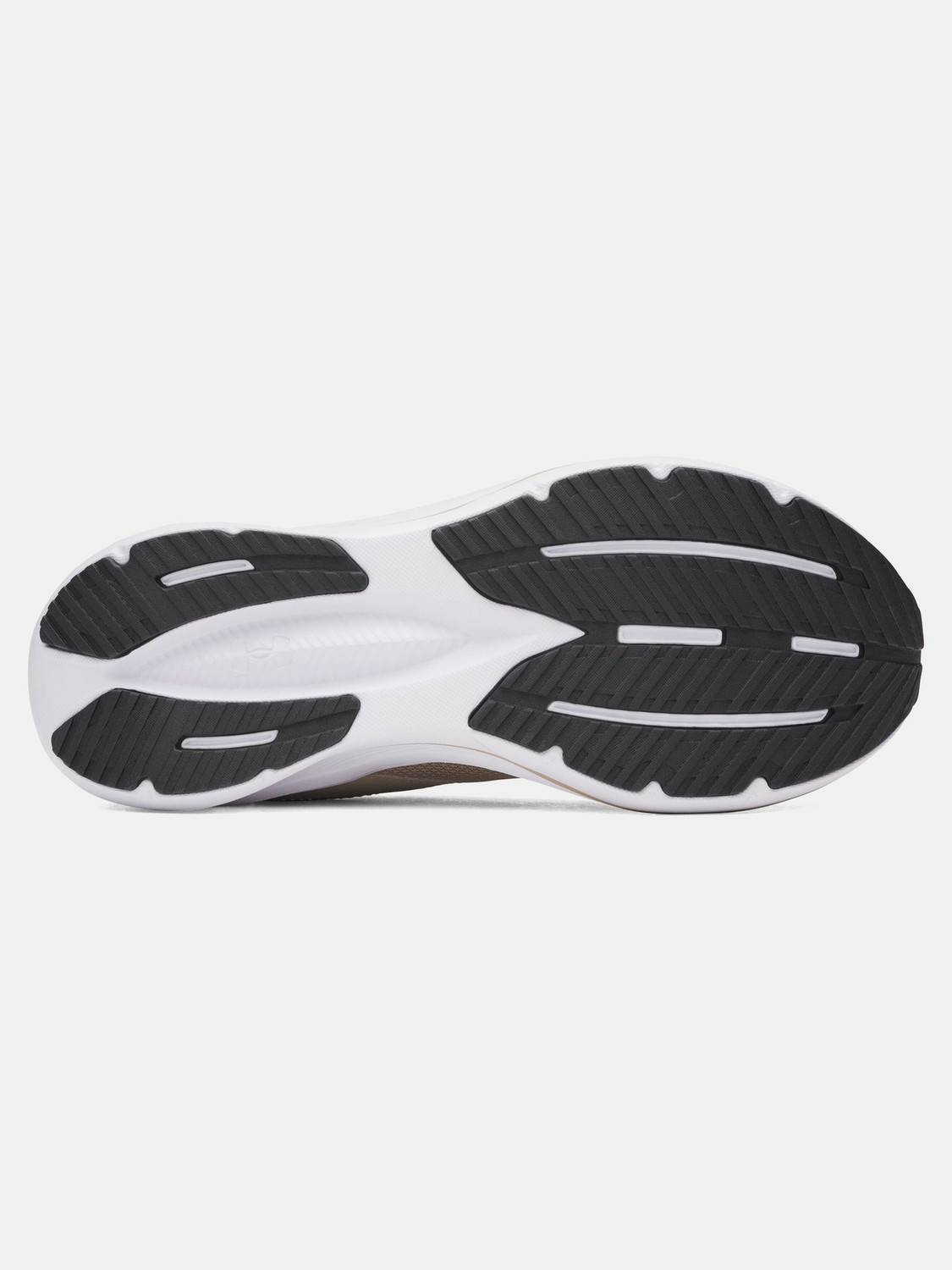 Image of UNDER ARMOUR Assert 11 Running Shoes For Men