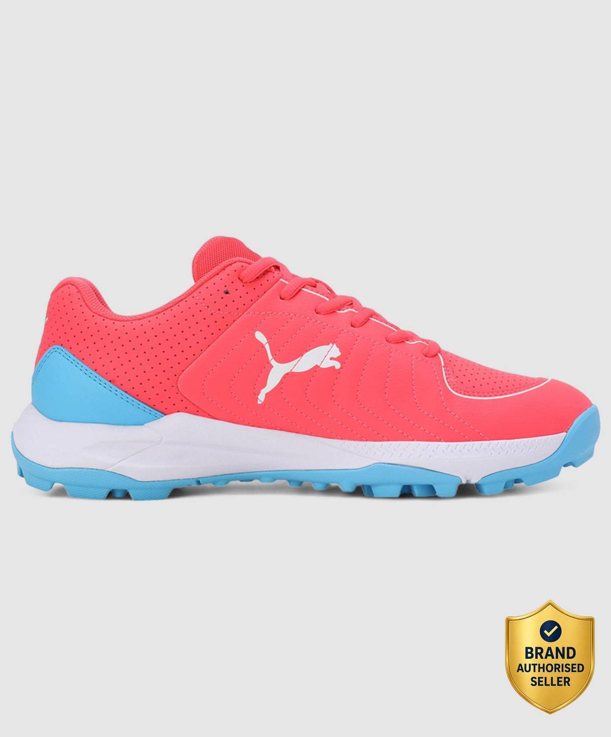 PUMA 24 FH Rubber Cricket Shoes For Men Blue - Image 1