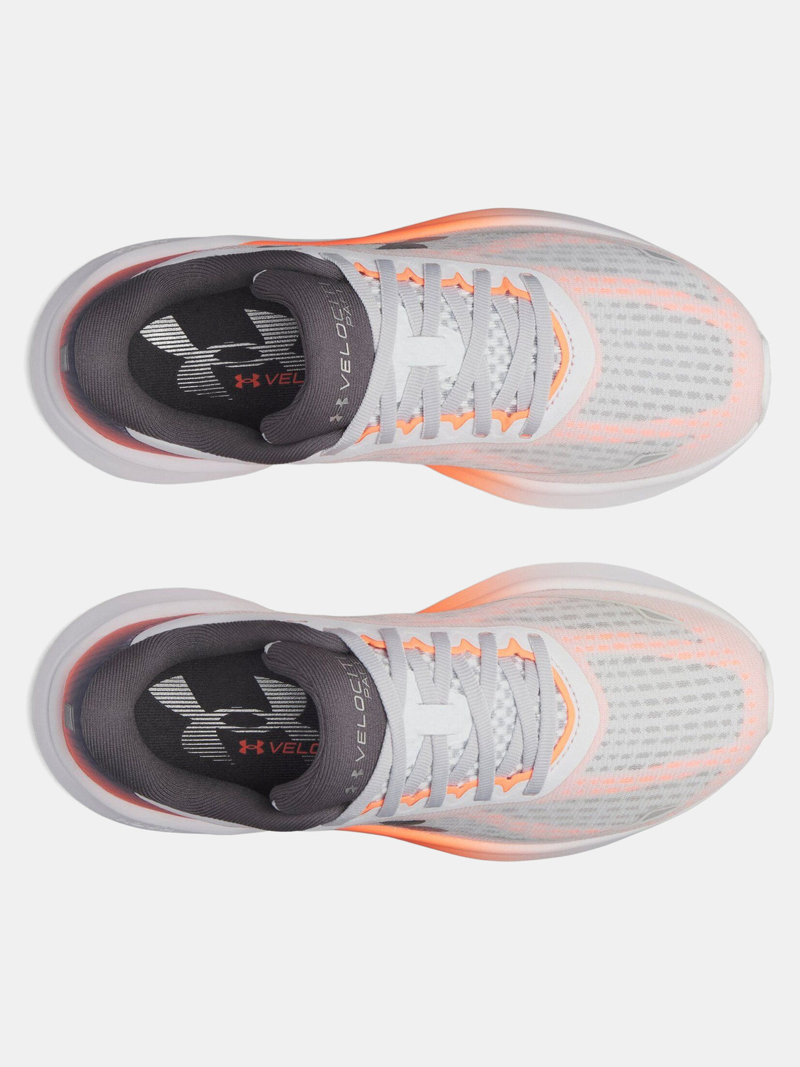 Image of UNDER ARMOUR Velociti Pace Running Shoes For Women