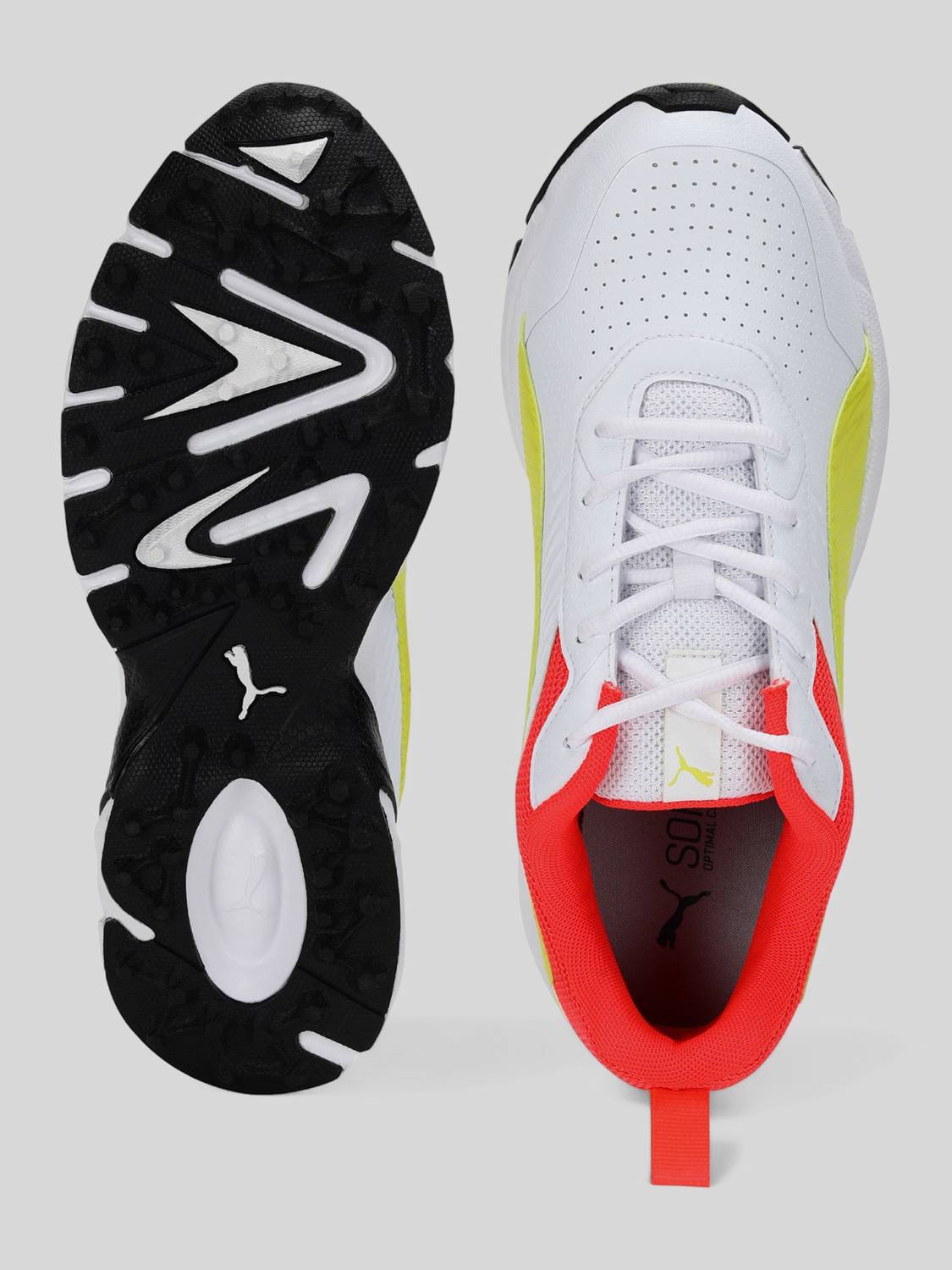 PUMA Cricket Active Sneakers For Men White - Image 5