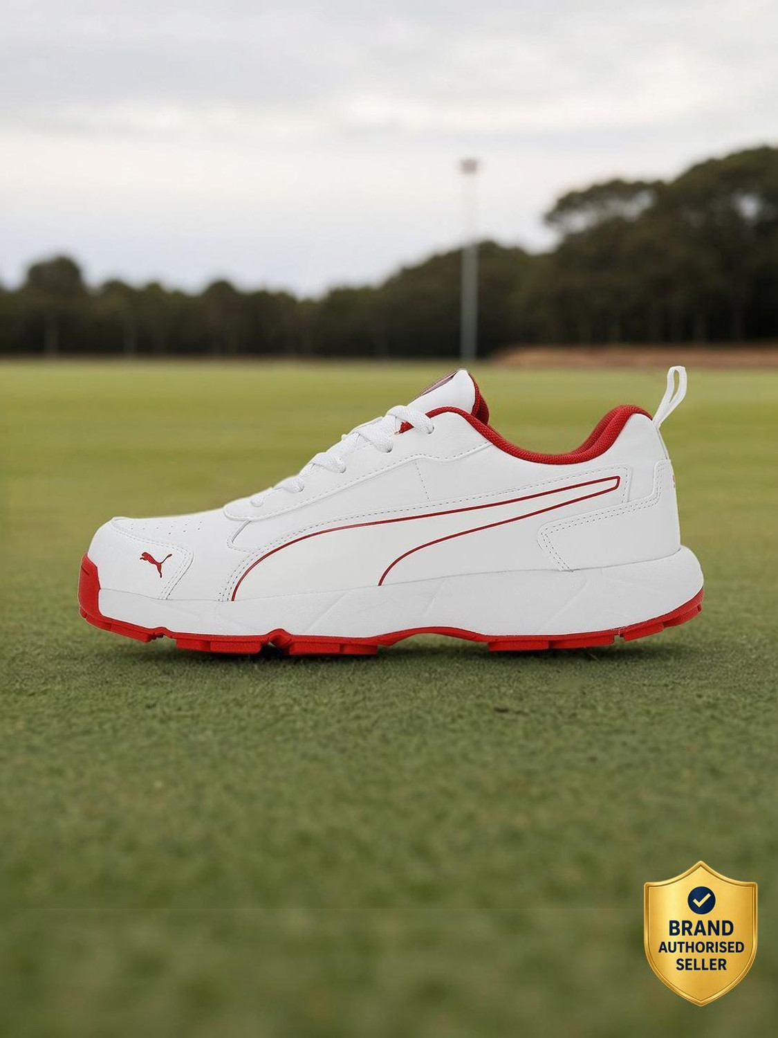 Image of PUMA Cricket Classicat Cricket Shoes For Men