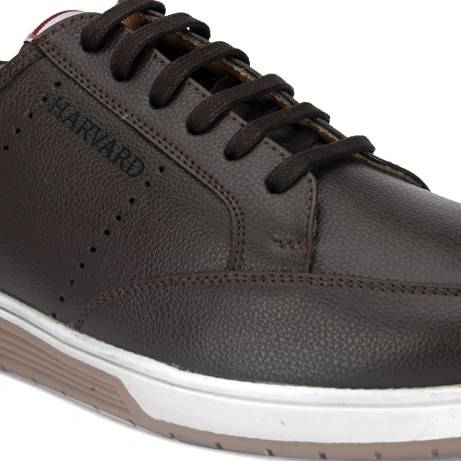 Image of HARVARD Sneakers For Men