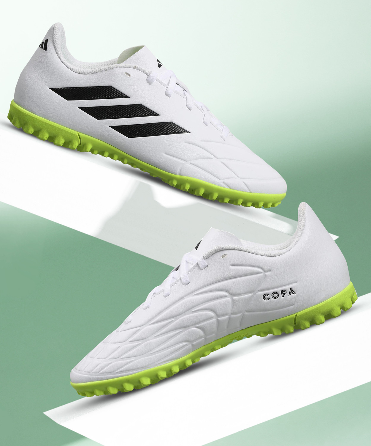 コパ copa -original-imagtbte56gvgywm.jpeg
