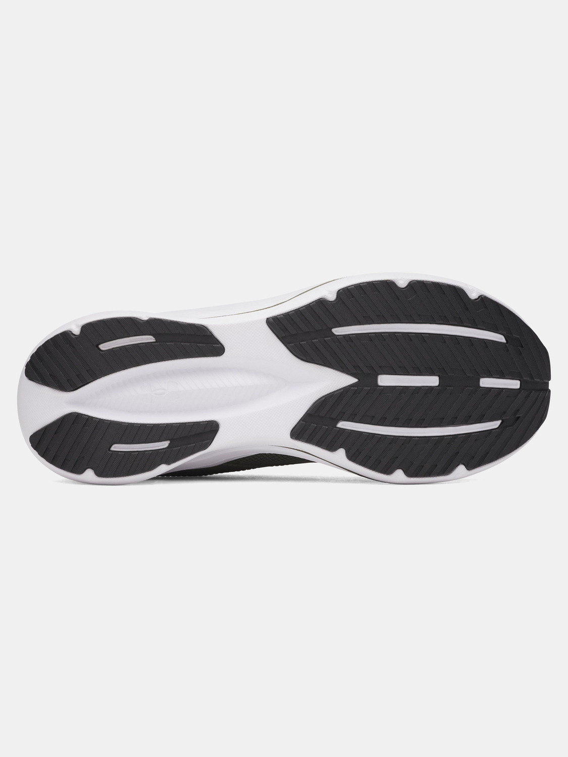 Image of UNDER ARMOUR Assert 11 Running Shoes For Men