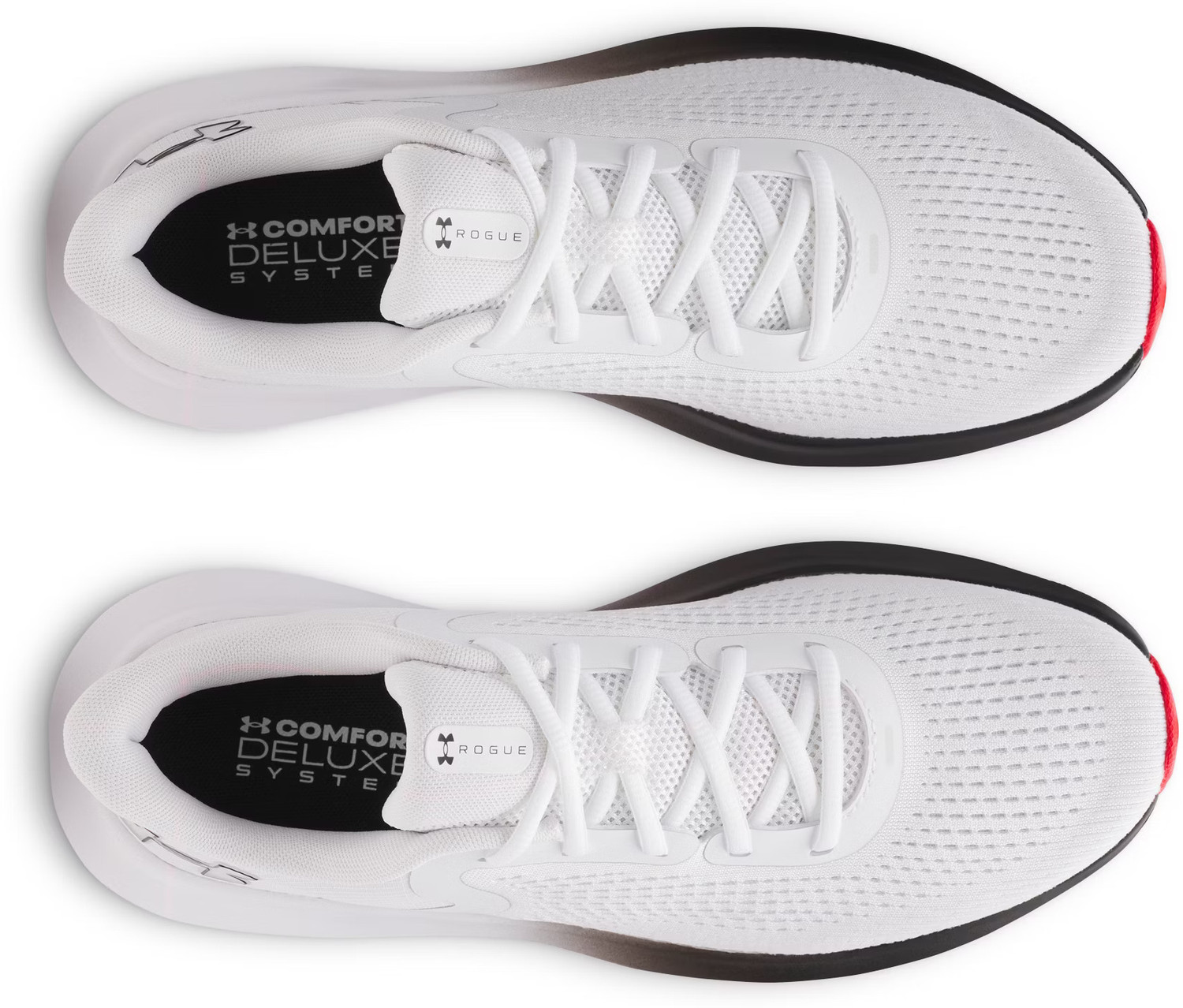 Image of UNDER ARMOUR Charged Rogue 5 Running Shoes For Men