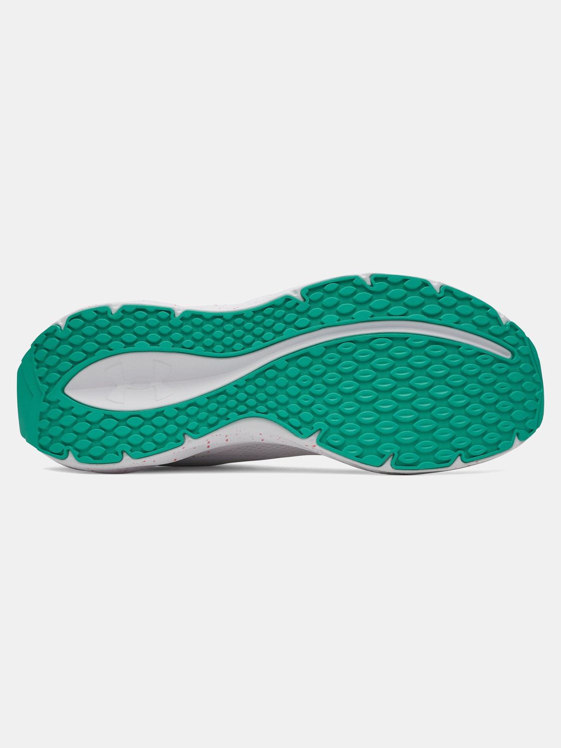 Image of UNDER ARMOUR Ascend Running Shoes For Men