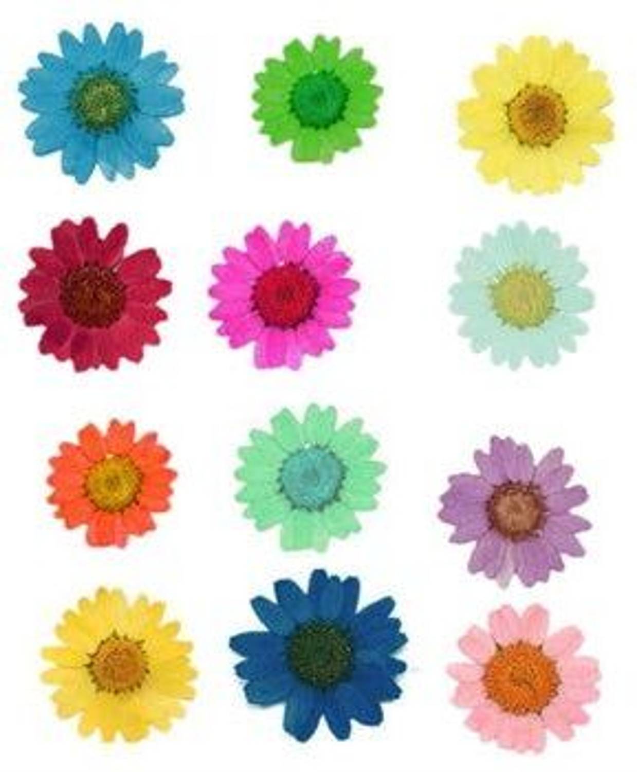Artefact Multicolor Daisy Artificial Flower  with Pot