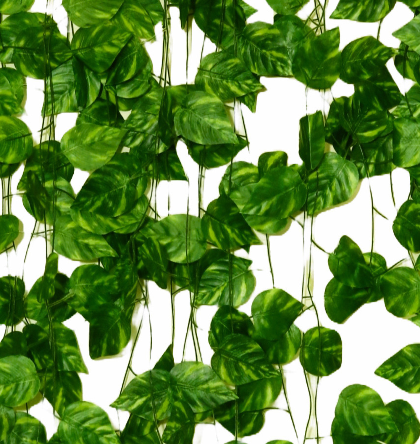 Image of Akaar Money Creeper Pack of 2 ,For Home|Office|Garden|Decoration Artificial Plant