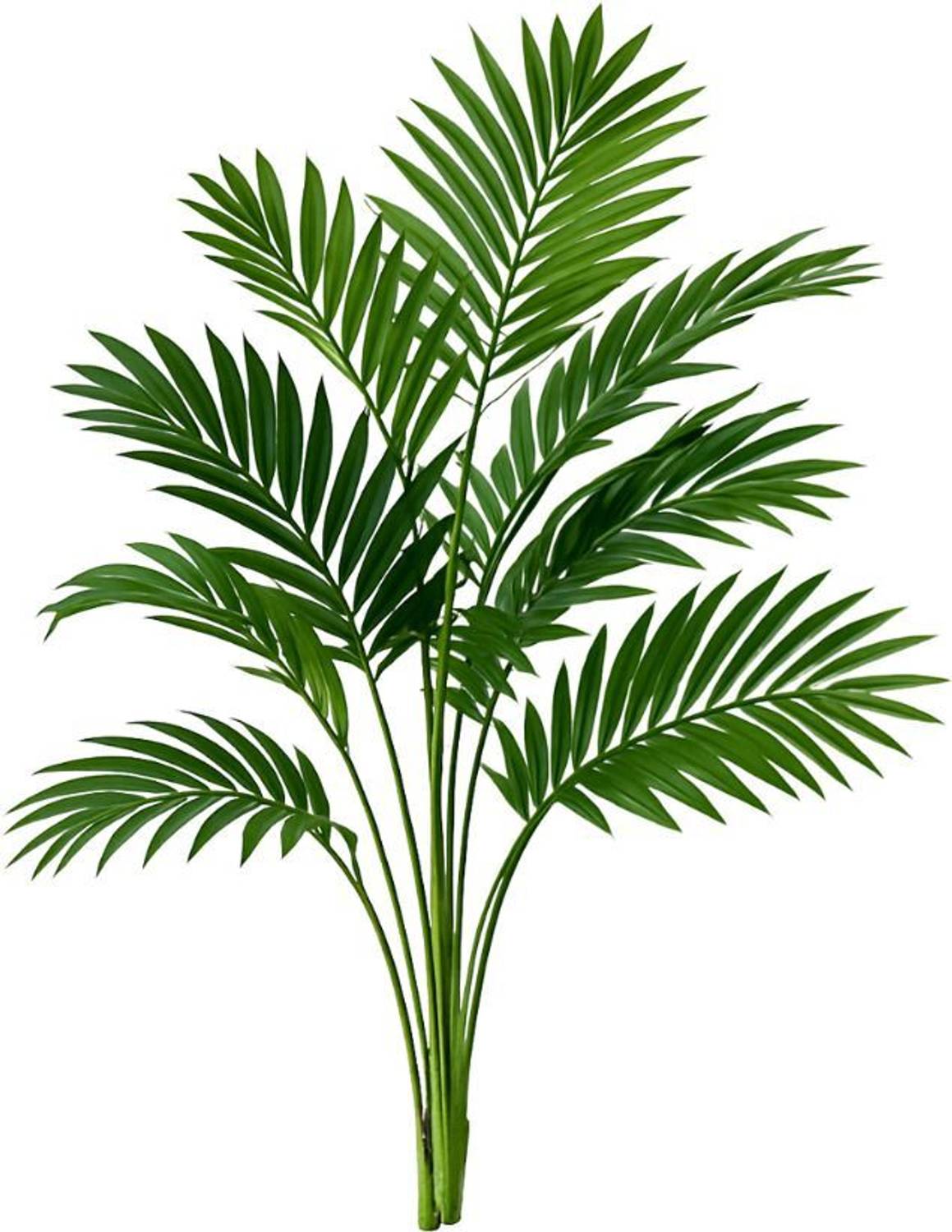 De Gardenia Artificial Areca Palm Plant with 12 Leaves Artificial