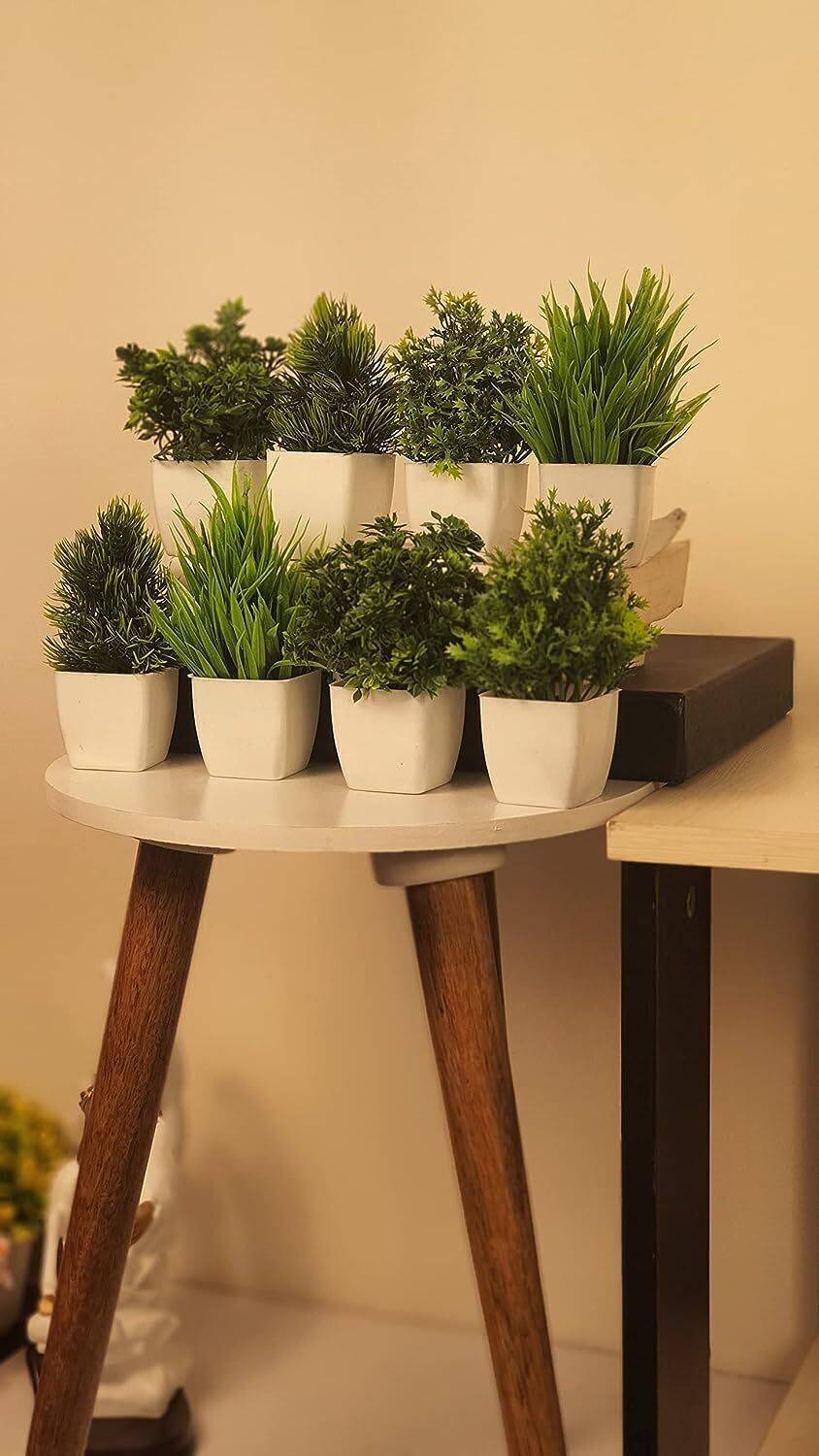 JJ Plastic 8-Piece Artificial Plant for Home Decor and Living Roo