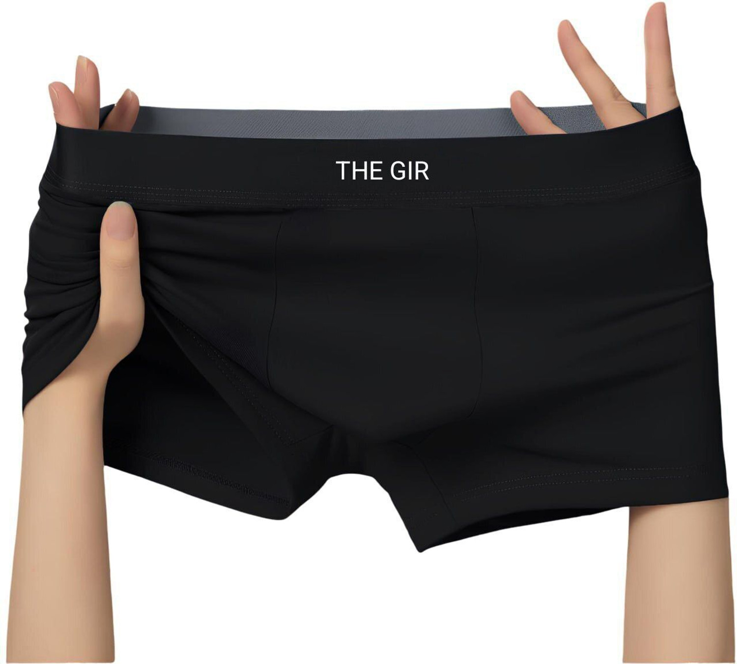 Image of Thegir Men Brief