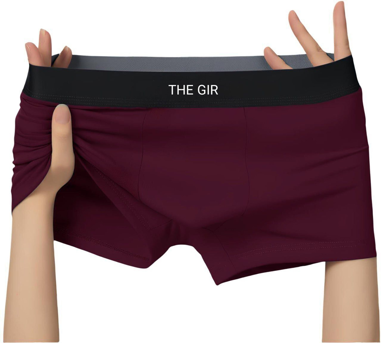 Image of Thegir Men Brief