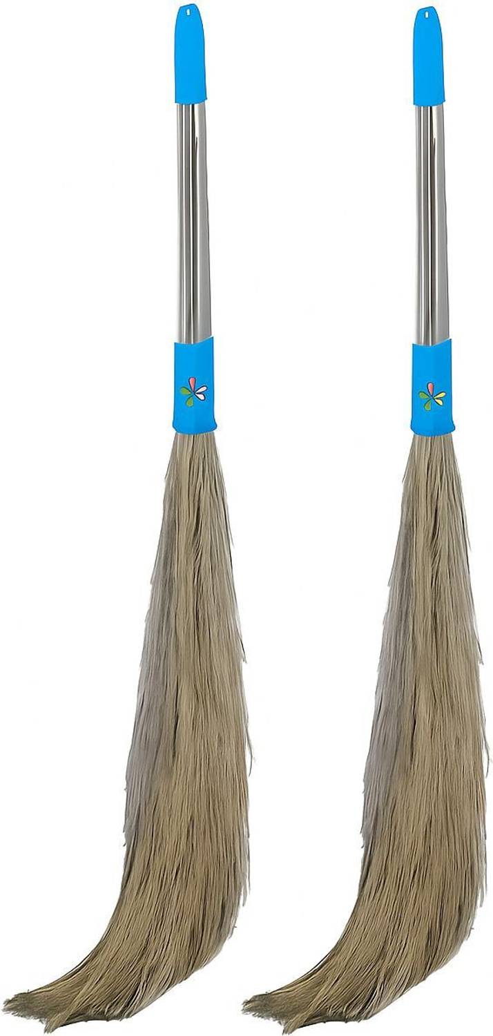 BuwasFashion Multicolor Grass Broom for Floor Dust Cleaning Grass Wet and Dry Broom