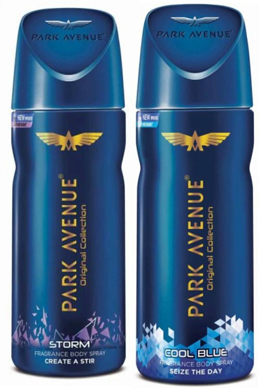 PARK AVENUE 1 Storm and 1 Cool Blue Deodorant Combo for Men (Pack