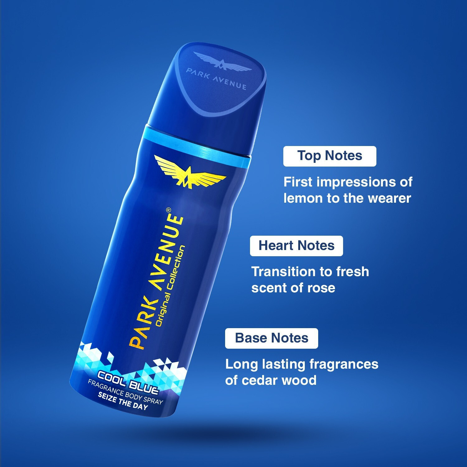 Image of PARK AVENUE Cool Blue Deodorant Spray - For Men