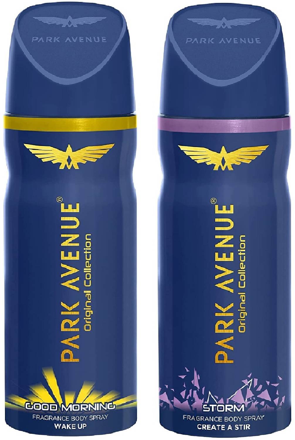 PARK AVENUE COOL BLUE & STORM DEODORANT, 150ML COMBO OF 2 Deodora