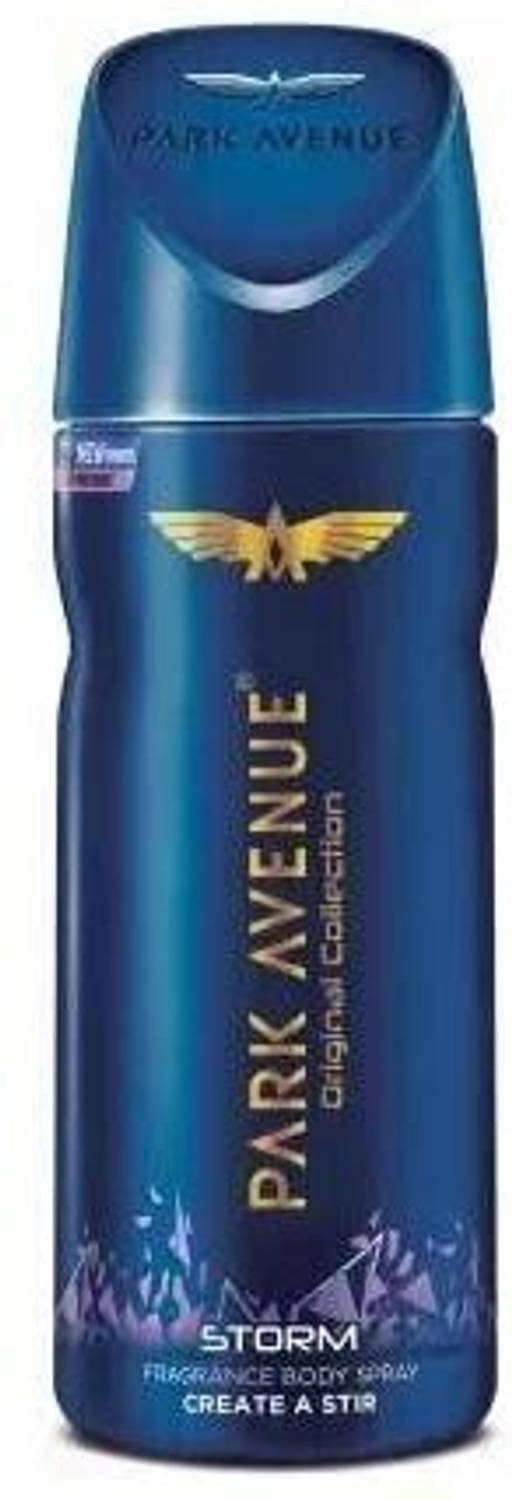 PARK AVENUE Storm Deodorant Spray Deodorant Spray - For Men (150