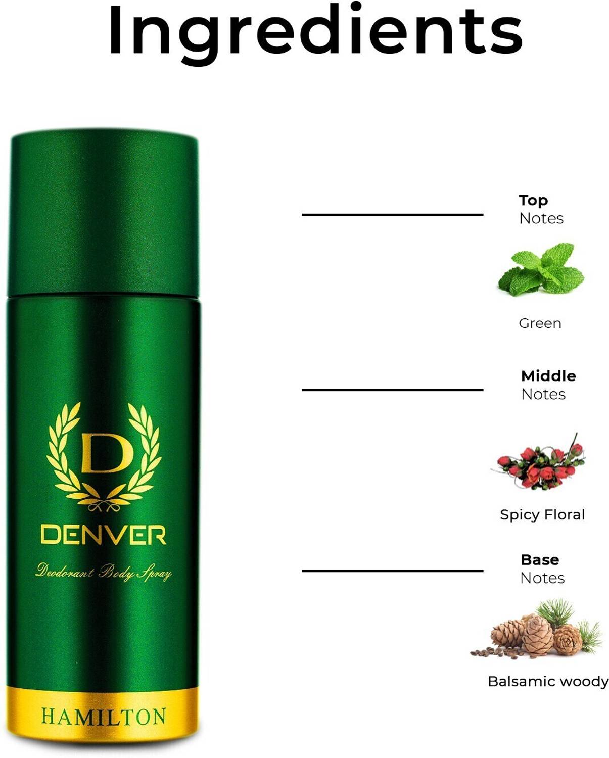 DENVER Hamilton Deodorant Spray - 2 Pack of 2 · 330 ml (660 ml total) - Image 4