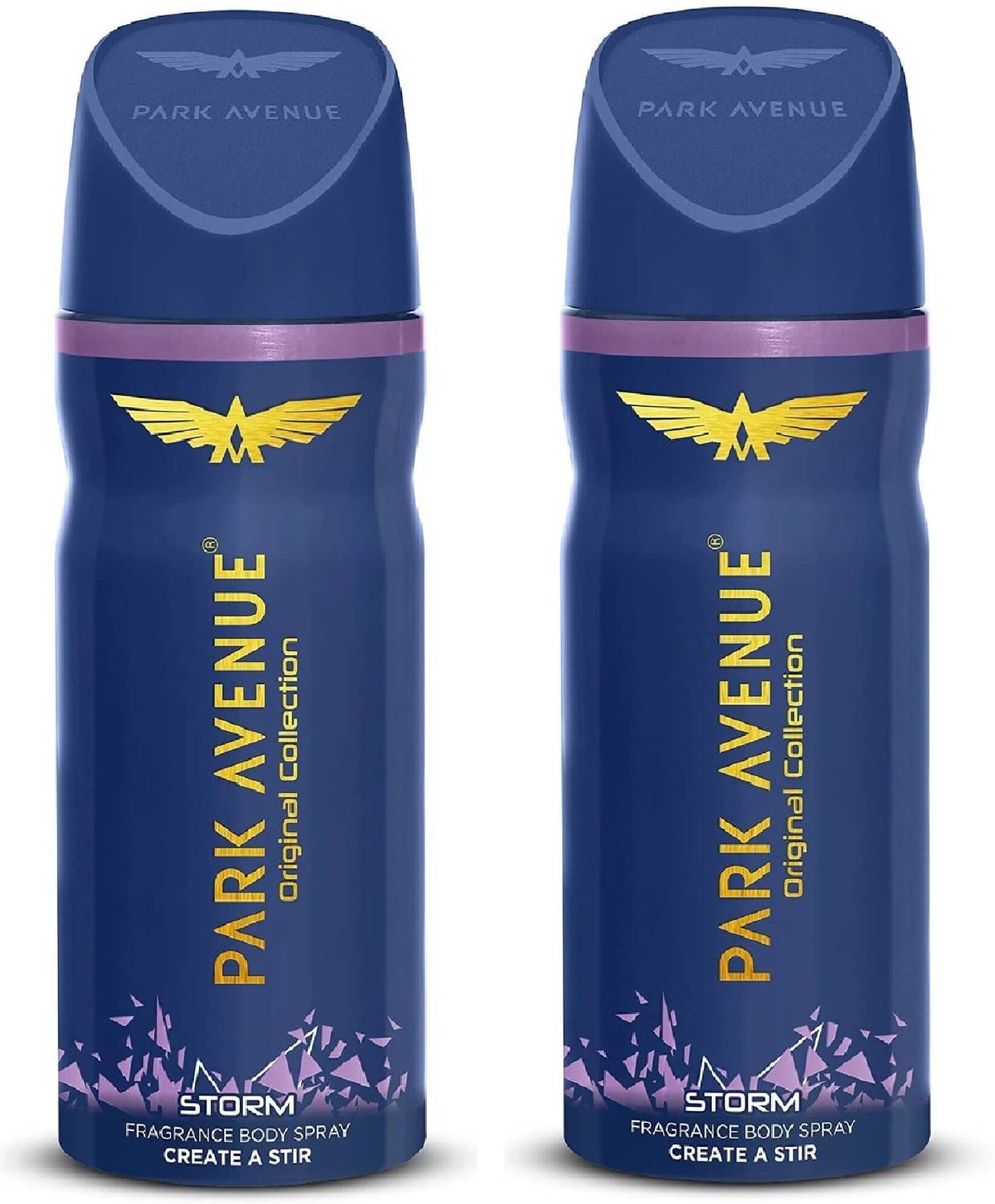 PARK AVENUE STORM DEODORANT FOR MEN, 150ML SET OF 2 PCS Deodorant