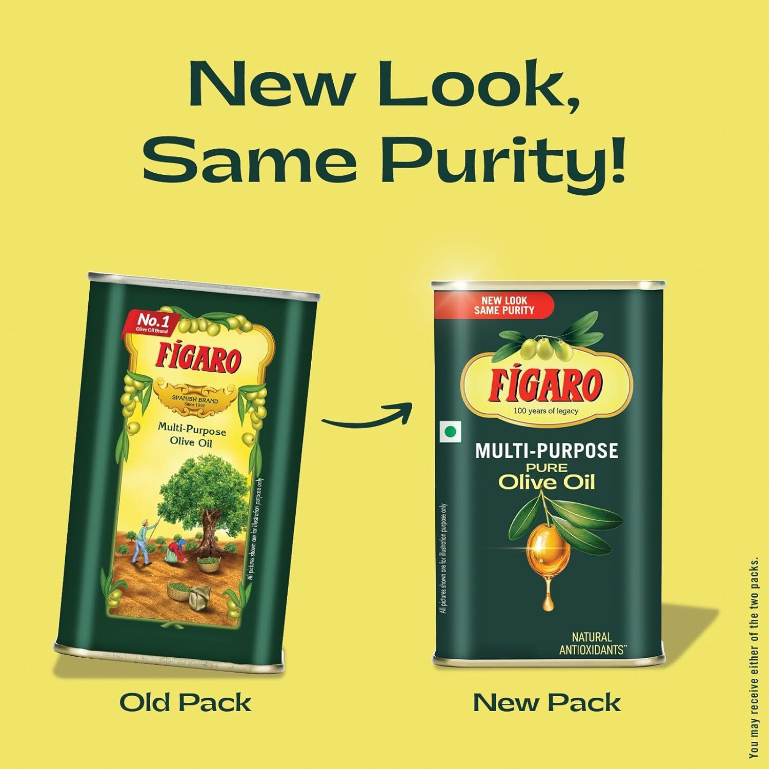 Image of FIGARO Olive Oil Tin