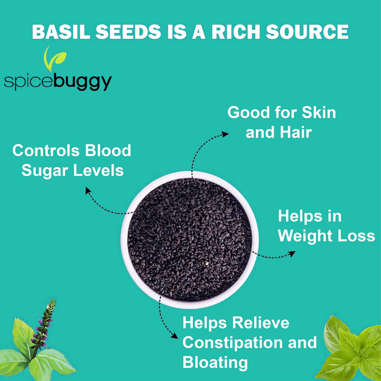 SPICEBUGGY Organic Basil Seeds - Image 5