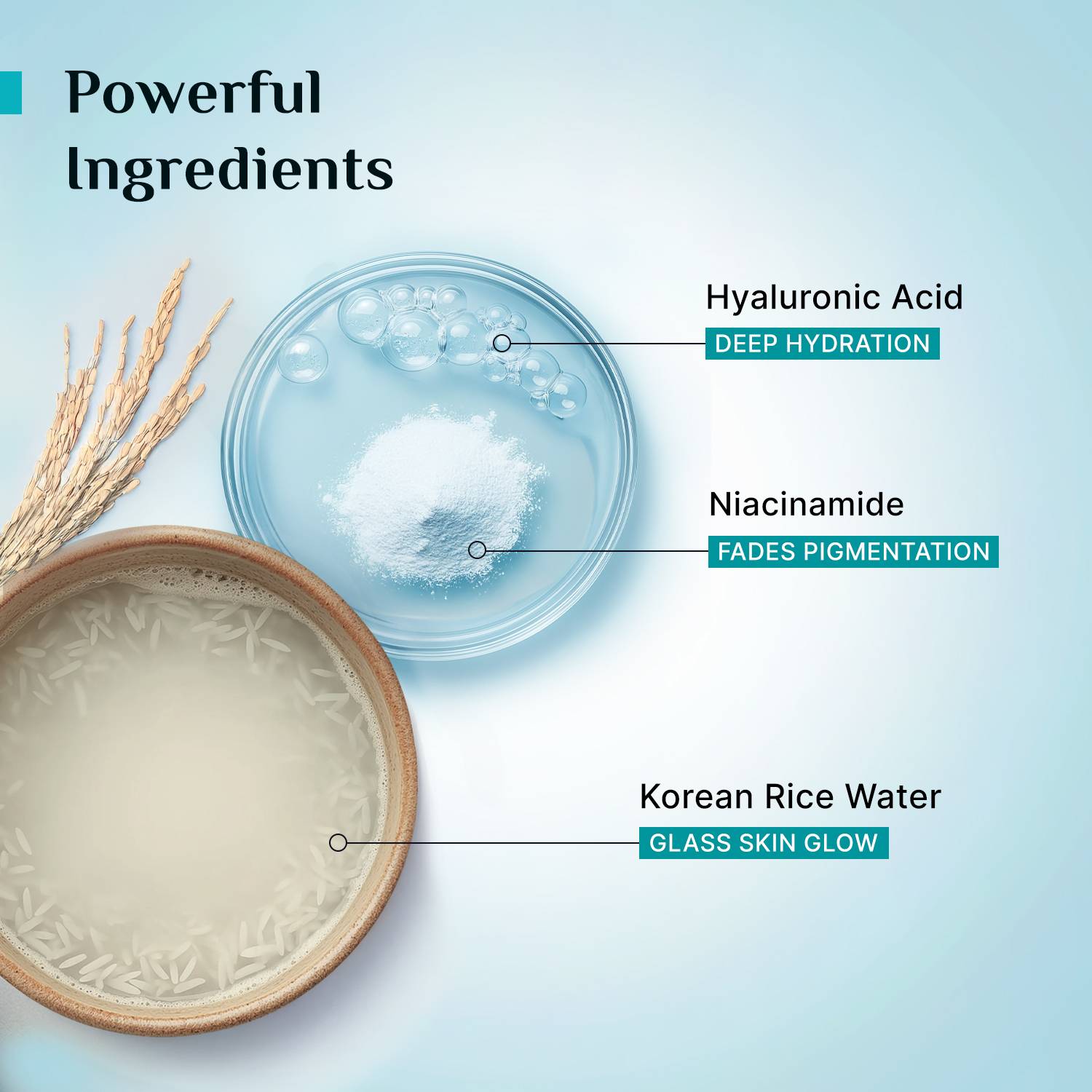 Pilgrim Korean Rice Water Hydra Glow Brightening Gel - Image 3
