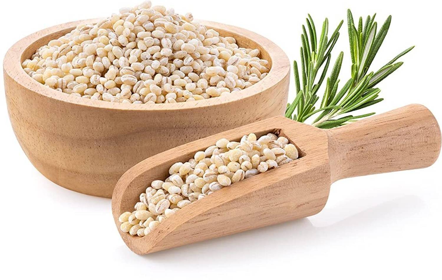 APLENTY Barley Pearl | Jau | Hordeum Vulgare | Cereal Grain | Jaau Barley