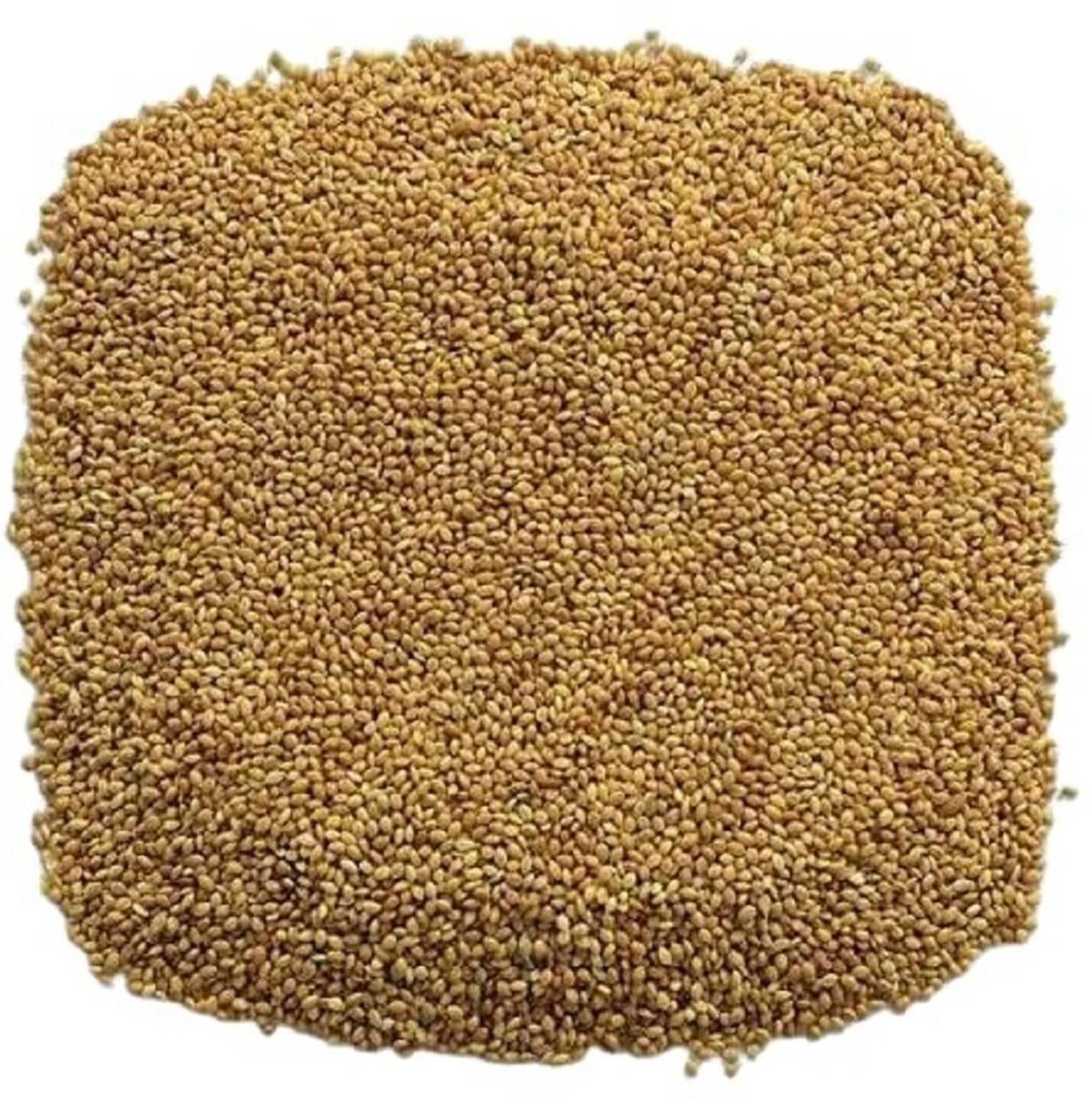 APLENTY Foxtail Millet For Birds | Kangni Seed Bird Food | Food For Canaries, Finches | Foxtail Millet