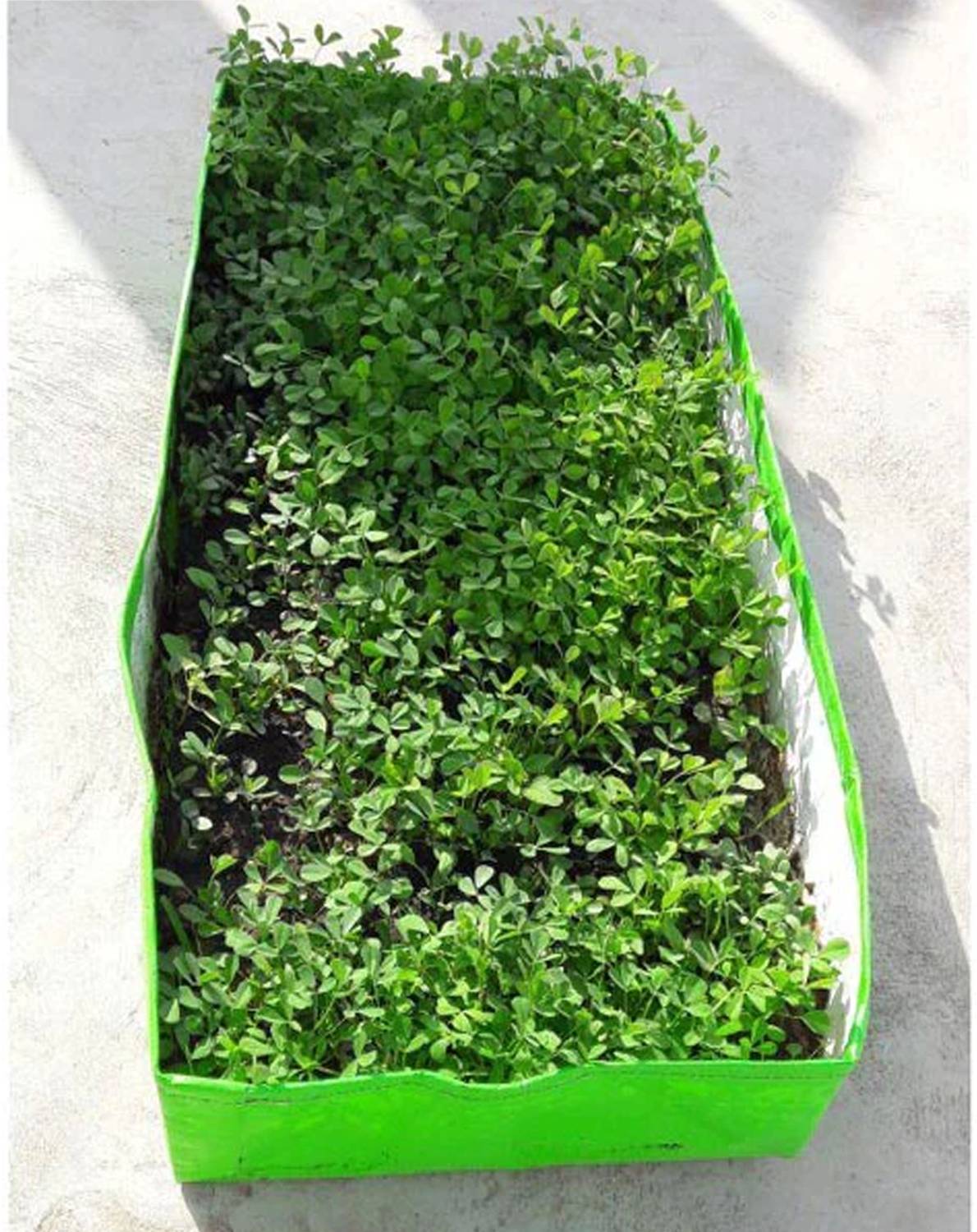 GARDECO 260 GSM HDPE UV Treated Rectangle Grow Bag (24x12x6-Inch) - Image 3
